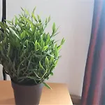 Appartement Entier Avec Balcon A Paris Plein Sud.